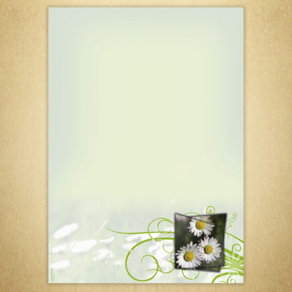 Designpapier Gänseblümchen