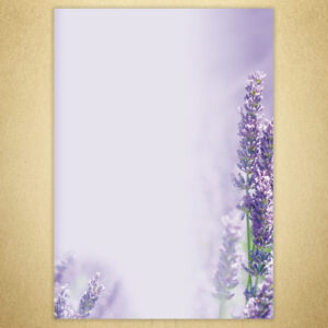 Designpapier Lavendel